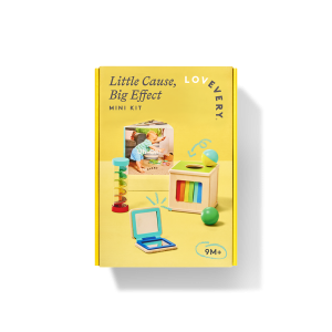 Little Cause, Big Effect Mini Kit