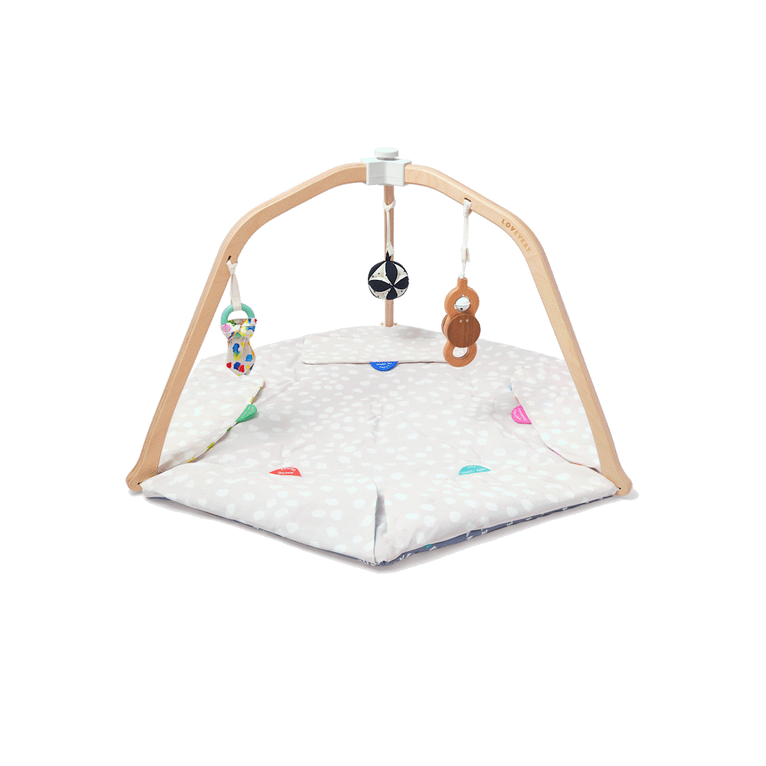 The Play Gym - Image 3